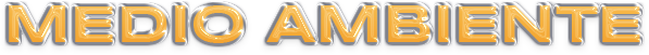 Environment-TITULO