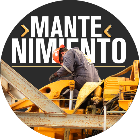 IMAGEN-MAINTENANCE